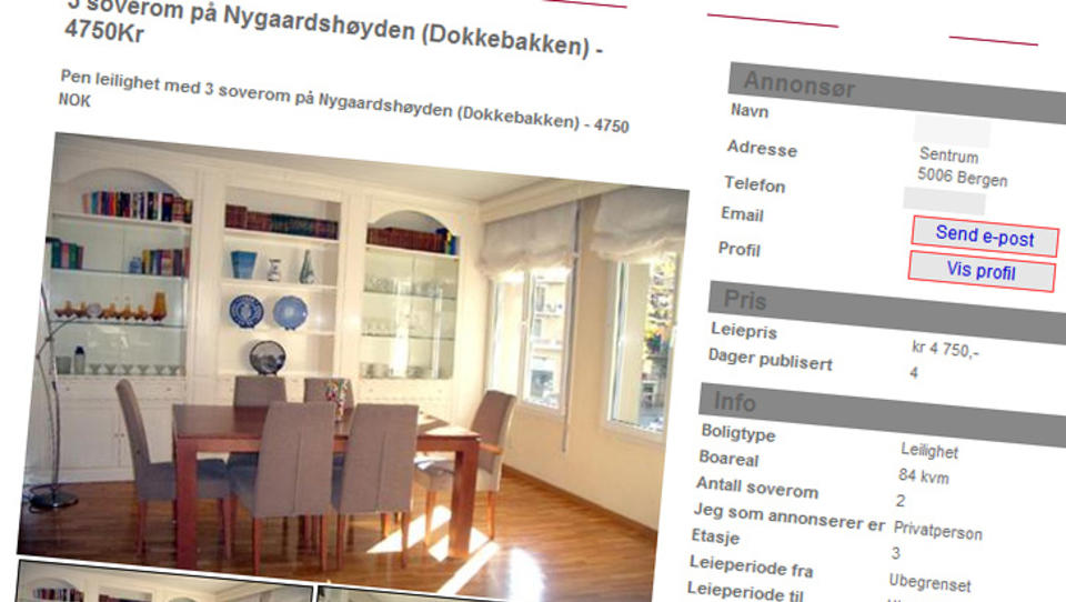 FLERE ANNONSER: Hybel.no har den siste tida fjernet 15 annonser som de anser som svindelfors�k. Dette er en av annonsene som en kvinne som Dagbladet omtalte i g�r, la ut p� utleie.no. Faksimile: Utleie.no