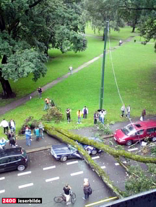  En bil ble  knust av et tre som veltet i Toftes gate i Oslo. Flere biler p� andre siden av gaten ble ogs� rammet. Foto: P�l Brenn