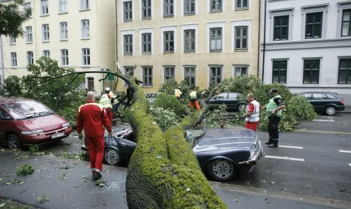 TOM BIL: Ingen befant seg inne i bilen da treet falt. Foto: Torbj�rn Gr�nning/Dagbladet
