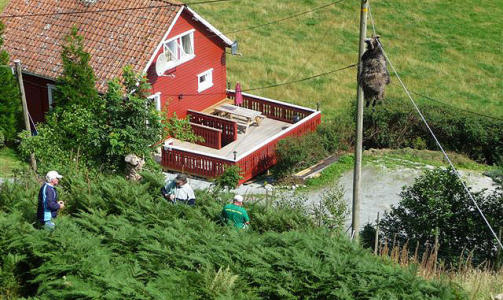 V�RDENSNYHET: Geir Landsnes sier han aldri f�r har sett maken. Foto: Marita Vestersj� Landsnes