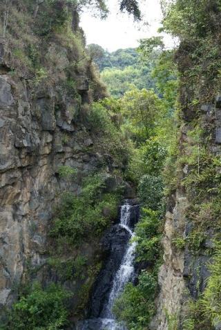 TRUET: Et fossefall ved Curitiba i Brasil. En milj�vernorganisasjon i landet oppfordrer innbyggerene til � tisse i dusjen framfor toalettet for � spare vann og redde den s�rbare skogen. Foto: J.Z.Berger/Wikimedia Commons