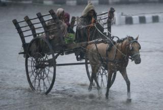 BEDRE I GAMLE DAGER? Mens mange akademikere mener dyrene har det bedre i moderne tid, sier lekfolk som politikere og dyrevernere at dyrene generelt hadde det bedre f�r, skriver artikkelforfatteren. Dette bildet er fra Kashmir. Illustrasjonsfoto: REUTERS/Mukesh Gupta/SCANPIX