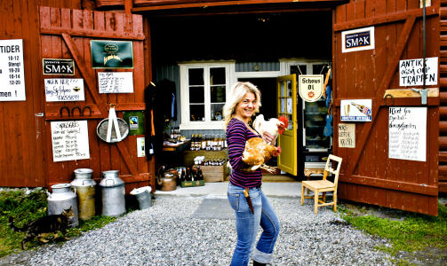 HANNE H�NE: Veik�ker G�rd har landhandleri og h�nseri med frittg�ende h�ner. Her serveres kaffe og vafler eller muffins. Antikviteter og vin. FOTO: Ole C. H. Thomassen