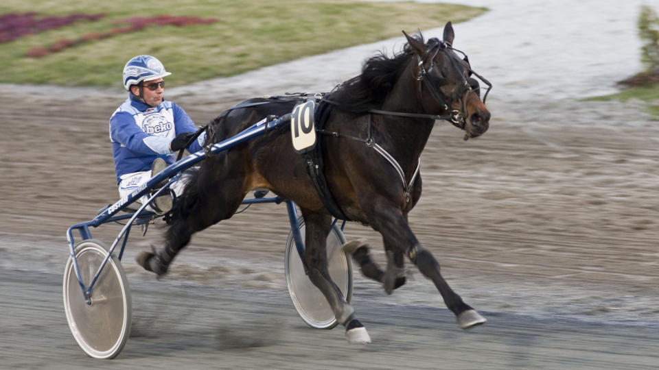  OPTIMIST:  Her er det treneren selv, Tom Horpestad, som kj�rer kveldens V65-banker Credit Tabac i et l�p p� Momarken. Treneren er optimist - i kveld kusker stallmannen Jon Olsson. Foto: HESTEGUIDEN.COM.