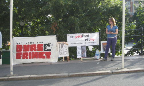 STERKE PLAKATER: TSH promoteres p� pelsbransjens nettsted Pelsinfo sammen med noen andre norske designere som bruker dette. - Dette kan ikke forsvares i 2009, sier Fahm Sj�holm som ledet aksjonen i g�r. (ikke p� bildet) Foto: Nettverk for dyrs frihet