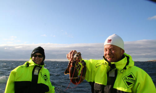 FLAT�N:Hummersafari hos Handelsman Flink fra 21. september.