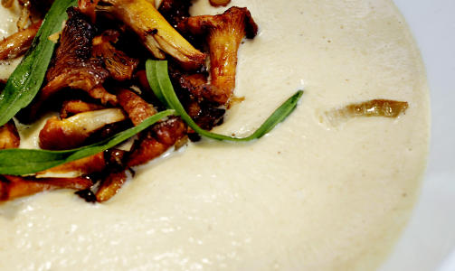 KANTARELLSUPPE MED SELLERI: Her bruker du gjerne den soppen som ikke er s� fin � se p�, og suppa kan ogs� serveres som en smaksrik saus. Oppskriften tar cirka 25 minutter.

Du trenger:



300 g sopp i biter


300 g rotselleri i terninger


3 dl vann


3 dl fl�te


Salt og pepper



Slik gj�r du:


1. Kok v�ska sammen med selleri og sopp til sellerien er m�r


2. Kj�r alt i en blender, hell tilbake i kjelen og smak til med salt og pepper, og kanskje litt mer fl�te


3. Server med ristet, fersk sopp p� toppen