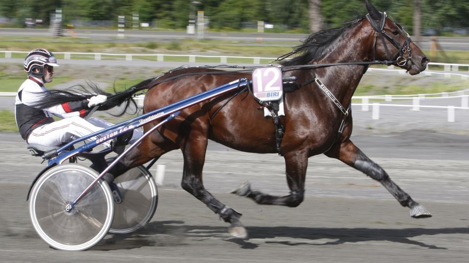 TET FRA START TIL M�L. Kusk Kai Johansen har klare planer om � bestemme alt i V75-2 p� Jarlsberg travbane l�rdag. Foto: HESTEGUIDEN.COM.