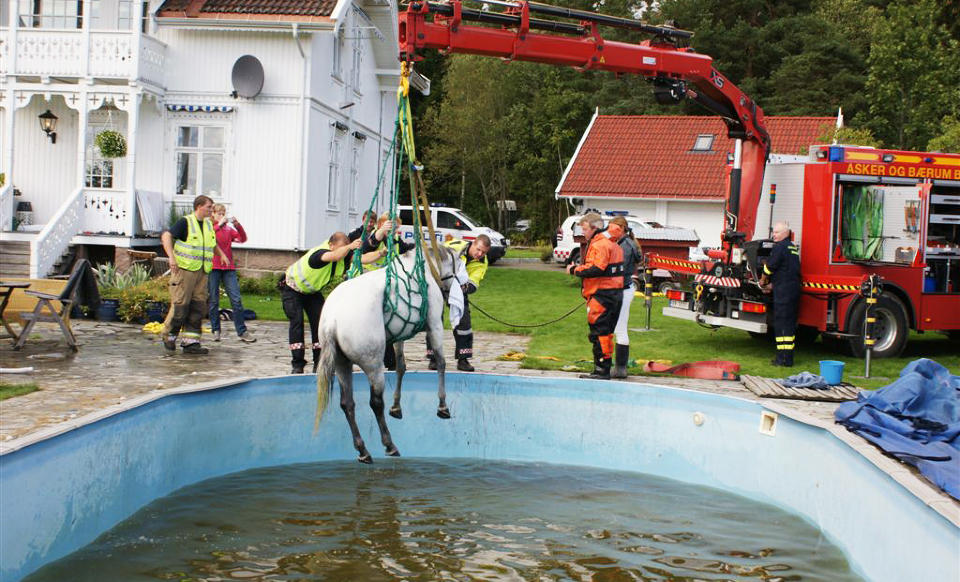 BED�VD OG HEIST: Den skadde varmblodshoppa m�tte til slutt bed�ves og heises opp med kran. Foto: JONNY OLSEN