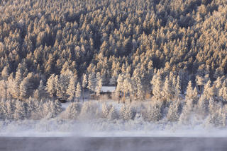 SIBIRSK TAIGA: Skog er det �kosystemet som bruker lengst tid p� � komme seg etter inngrep eller naturkatastrofer. Foto: REUTERS/Ilya Naymushin
