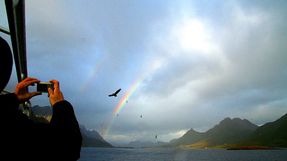I TROLLFJORDEN:  Det blir fine fotomotiv for turistene som har g�tt ombord i sm�b�ter for � v�r emed p� hav�rnsafari.Alle foto: Kirsten M. Buzzi