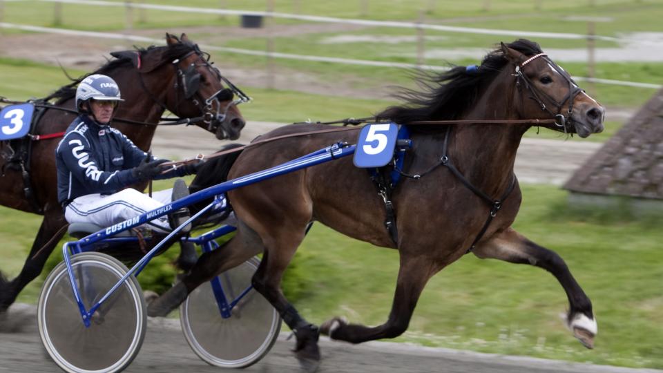 OVERRASKENDE VRI P� GANG. Asbj�rn Mehla kan vri inn i tredje innvendig med den store spillefavoritten i V65-2. Foto: HESTEGUIDEN.COM.