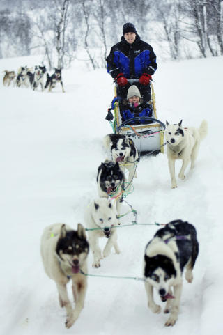 HUNDEKJ�RING: Turistene g�r i land i Troms� for en tur med hundekj�ring.  Foto: Ingun A. M�hlum