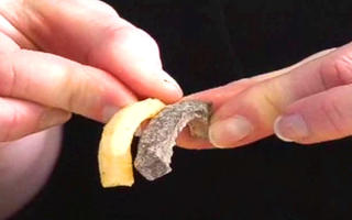 HOLDER SEG GODT: Julia Havey viser en 4 �r gammel pommes frites fra McDonalds (t.v.) og en tydelig r�tten potetbit som �bare� er 3 m�neder gammel (t.h.).Foto: DIET.COM