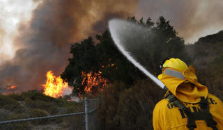 TREREDDER: En brannmann fors�ker � redde et eiketre utenfor Los Angeles. Foto: Scanpix/AFP PHOTO/Mark RALSTON
