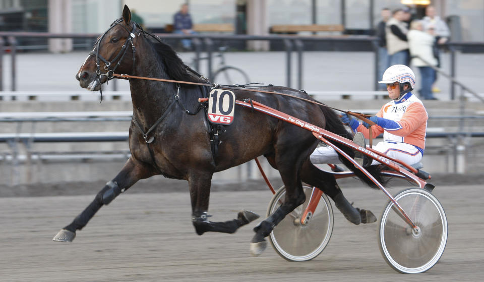OVERRASKET: New Varenne L.A. med kusk Per Oleg Midtfjeld i sulkyen overrasket da det ble seier i Norsk Derby p� Bjerke.Foto: Hesteguiden.com