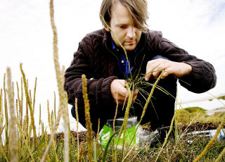 KRYDDERMORGEN: Den beste dagen for Ren� Redzepi er den han kan begynne med � dra til Lammefjorden, en times kj�ring fra K�benhavn, for � sanke urter. Foto: Kristian Ridder-Nielsen/Dagbladet