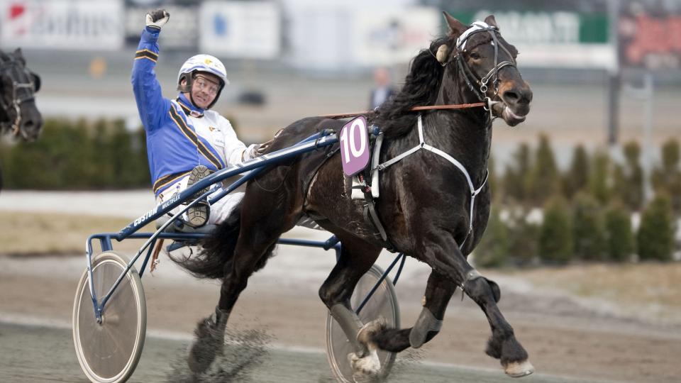 FERDIG MED DRITTEN. Frekken hadde full pakke med magetr�bbel sist. N� ligger alt til rette for ny arm i v�ret for Sagholen. Foto: HESTEGUIDEN.COM