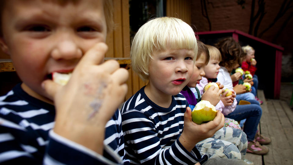EPLEFEST: Barna (f.v.) J�rgen Jordfall (5), Hauk Vargum Henriksen (4), Simon Arnesen (4) og Anna Storstein (2) elsker epler. Og de klarer � sitte stille mens de spiser dem. Foto: Bj�rn Langsem