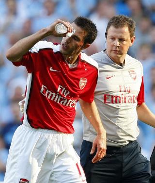 MED VILJE? Robin van Persie p�st�r at Emmanuel Adebayor sparket ham i ansiktet med vilje. Foto: REUTERS