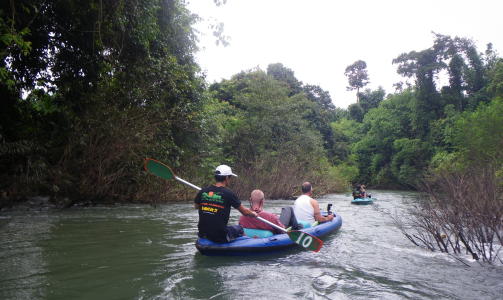 ELVEPADLING:  P� vei nedover elva Sok i Khao Sok nasjonalpark.
