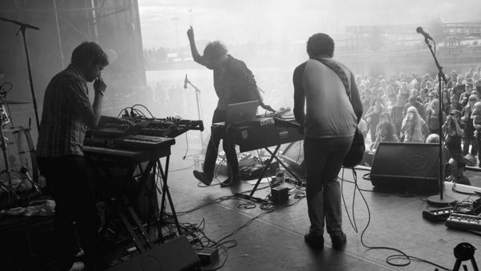 HVA MED EN LIVEPLATE? Lama i sitt rette element - p� scenen.  Foto: Spoon Train Audio