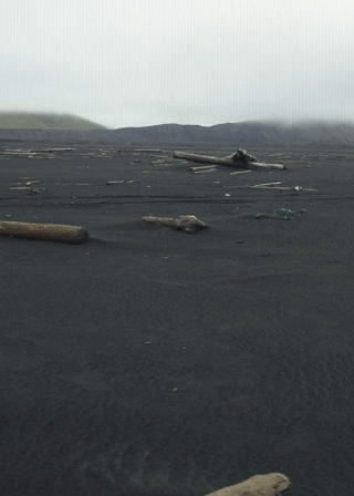 T�KE OG DRIVT�MMER: Jan Mayen er kjent for t�ken som gj�r det vanskelig � lande og drivt�mmeret fra Sibir som ligger utover strendene av lavasand. I framtida kan det bli ett av verdens viktigste omr�der for oljeleting. Foto: Rune Kongsro