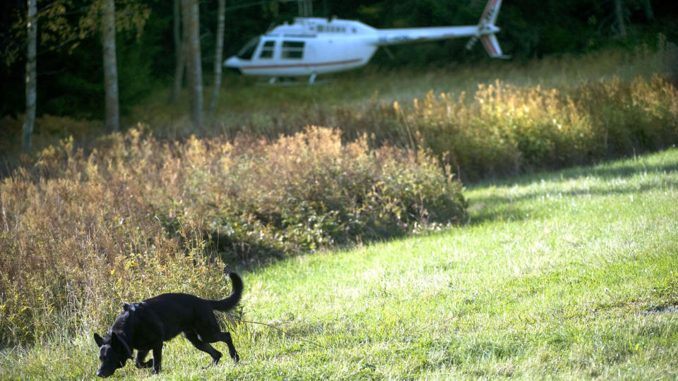 FORLOT HELIKOPTERET Ranshelikopteret er funnet i Arninge utenfor Stockholm. Her s�ker en politihund etter spor. Foto: Pontus Lundalh/Scanpix