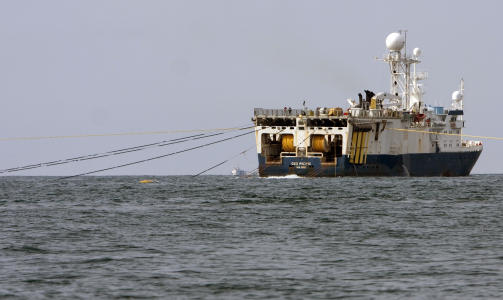 VESTER�LEN, JULI 2009: Seismikkskipet Geo Pacific sleper sine kabler langs Eggakanten utenfor Vester�len i den mest omfattende innsamlingen av 3D-seismikk noen gang. Fiskerne frykter skremmeefekten. Foto: Jan-Morten Bj�rnbakk / SCANPIX .