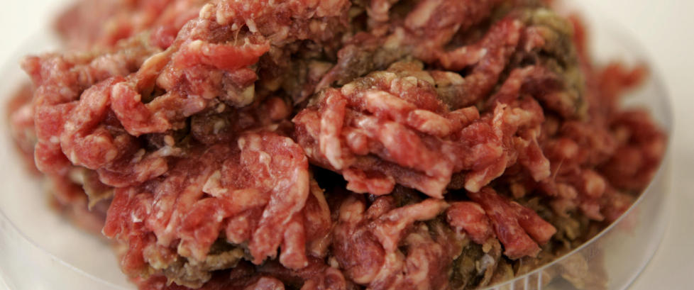 Salmonella i svensk kj�ttdeig