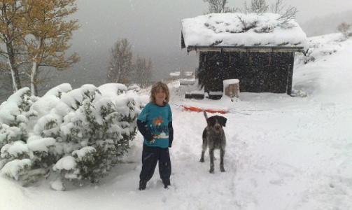 SN�FYLT H�STFERIE: Tobias (8) og hunden Jerven (5) er v�rfaste p� Skarvatnet i Trollheimen. 
  MMS-FOTO: ASLE HANSEN
