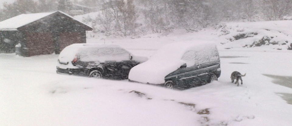 OVERRASKET AV SN�EN: Sn�en har allerede lagt seg flere steder p� fjellet. Bruk vinterdekk, r�der meteorologen. MMS-FOTO: ASLE HANSEN