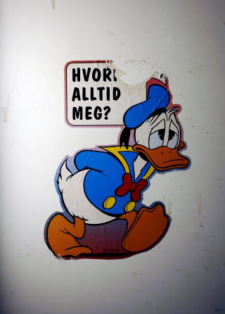 DONALD DUCK: Ikke s�rlig resilient.