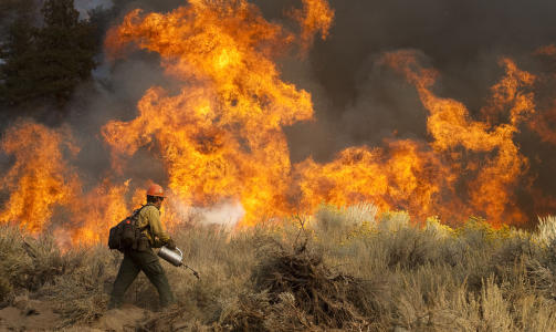 KJEMPER MOT FLAMMENE: Brannmenn i California har en stor utfordring. Foto: AP Photo/Francis Specker