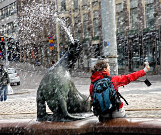 SE MEG!: De vannsprutende sj�l�vene ved Salutorget er et yndet fotoobjekt. Men fiskerne forbanner selene i Finskebukta som snart har spist opp all fisken.