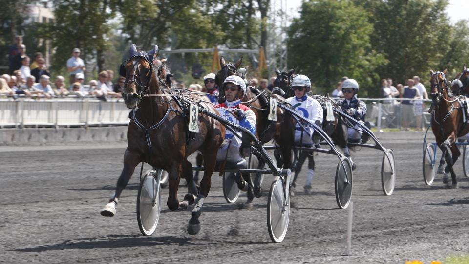 L�PER FRA DEM. Best Boy Augustinu er frisk igjen. Det er ogs� Cromwell. Da skal de bare l�pe fra de andre. Foto: HESTEGUIDEN.COM.