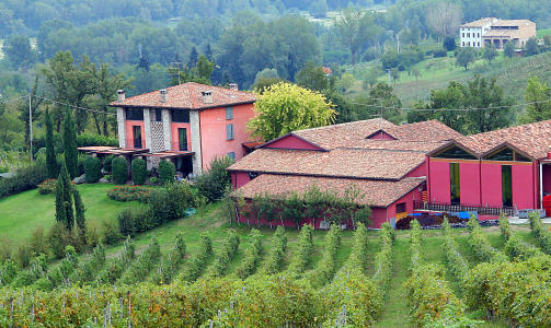 VING�RD. Bonfiglio Carra bygde ving�rden i Casatico i 1990._