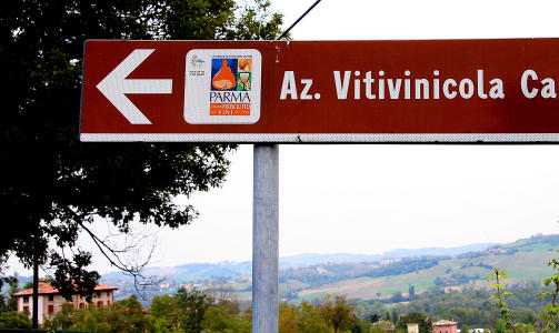 VINSMAKING. Carra di Casatico er en av de mange ving�rdene i omr�det hvor man kan v�re p� vinsmaking.