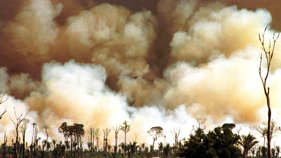 REISER LANGT: N�r regnskogen i Amazonas brenner, p�virker det ogs� Antarktis, har norske forskere funnet ut. Foto: AP/ SCANPIX.
