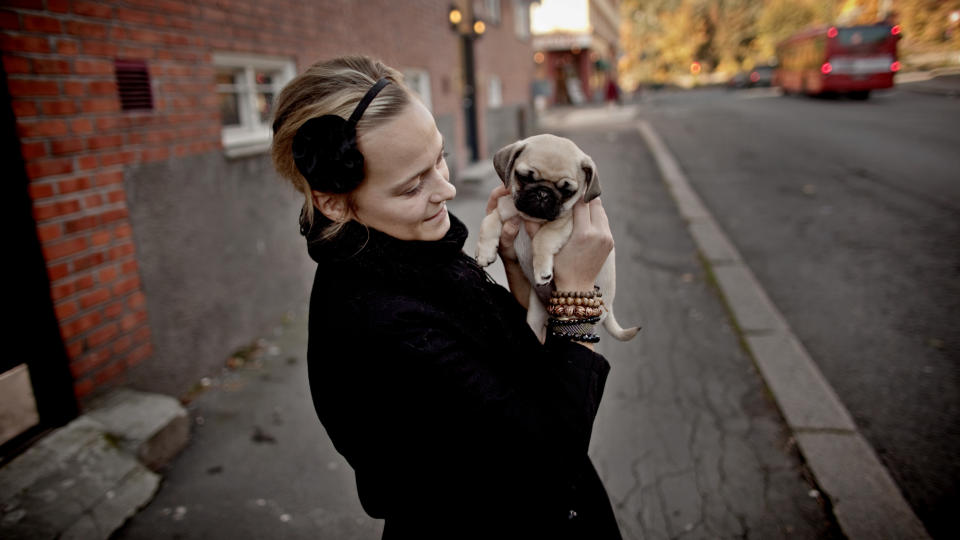  SISTE KVELD:  I kveld har Maren og smugler-mopsen Wilma sin siste kveld sammen. I morgen blir Wilma hentet av Mattilsynet, som gir �pning for at valpen kan komme tilbake fra Ungarn om fire m�neder. Foto: KRISTER S�RB�.