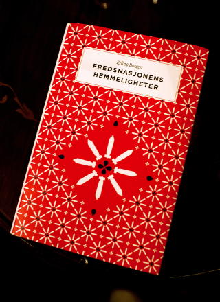 FASCINERENDE: - Jeg synes det er fascinerende at Dagbladets unders�kende journalistikk om Norge i krig, er � bruke av ressurser p� � finne mulige feil i min bok, skriver Erling Borgen til Dagbladet. Foto: METTE M�LLER