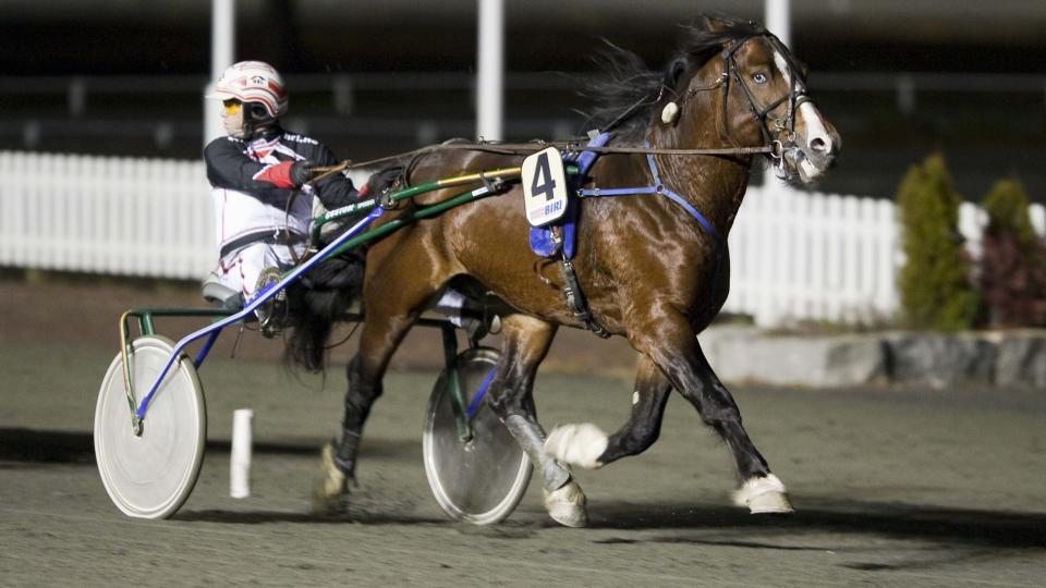 Hvor blir det av dem? Kusk Eirik H�itomt snur seg rundt. Turbo Loke har kontroll p� fotografen i det m�lstreken passeres. Foto: HESTEGUIDEN.COM.