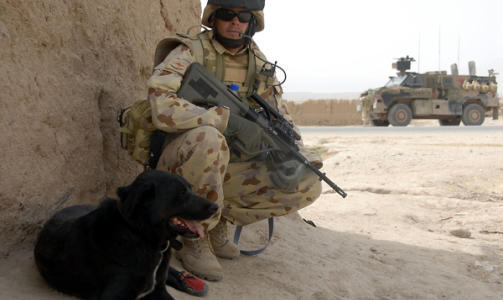 SAMMEN I SKYGGEN: Soldaten fra Reconstruction Task Force som bare oppgies � hete David har ansvaret for Sabi. Her hviler de i skyggen etter en arbeidsdag i Tarin Kowt. Foto: AFD