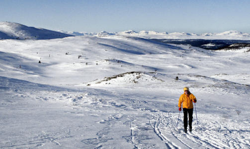 EGNE SPOR: Det er fortsatt noe eget � lage egne spor utenom maskinpreparerte l�yper. Fra omr�det mellom �krefjell og Hallingnatten. Halve norske fjellheimen med Hallingskarvet, Reinskarvet, Hemsedalsfjella langt i bakgrunnen.  Foto: OLE C. H. THOMASSEN