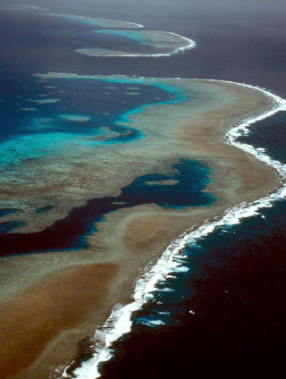 LIVREDNING: I 2003 ble fiskere nektet adgang til 1/3 av revet i et fors�k p� � redde det. Men klimautslipp kan likevel ta livet av revet. Australia er selv klimaversting n�r det gjelder CO2. Foto: REUTERS