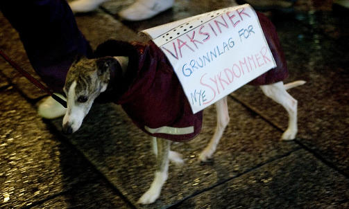 VOFFER MOT VAKSINEN: Under fakkeltoget mot statens vaksine mot svineinfluensa. Foto: Torbj�rn Gr�nning  / Dagbladet