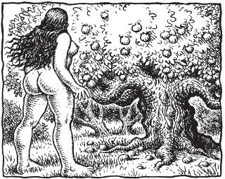 FRISTENDE: Eva ser at treet er tiltrekkende og at frukten ser god ut. Tegning: R. Crumb/Verdens skabelse/Carlsen