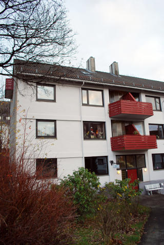 �TTE METER NED: Fra vinduet i �verste etasje falt Adrian ned i hekken. Foto: Leif Stang/Dagbladet