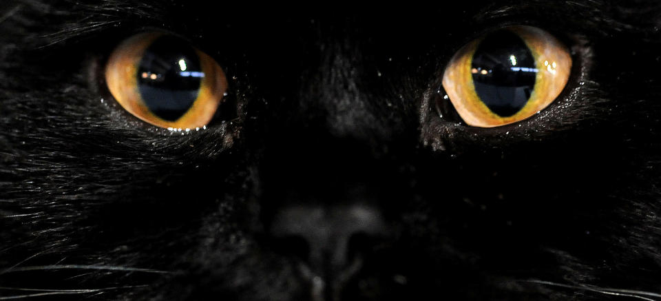 Foto: Scanpix/AFP