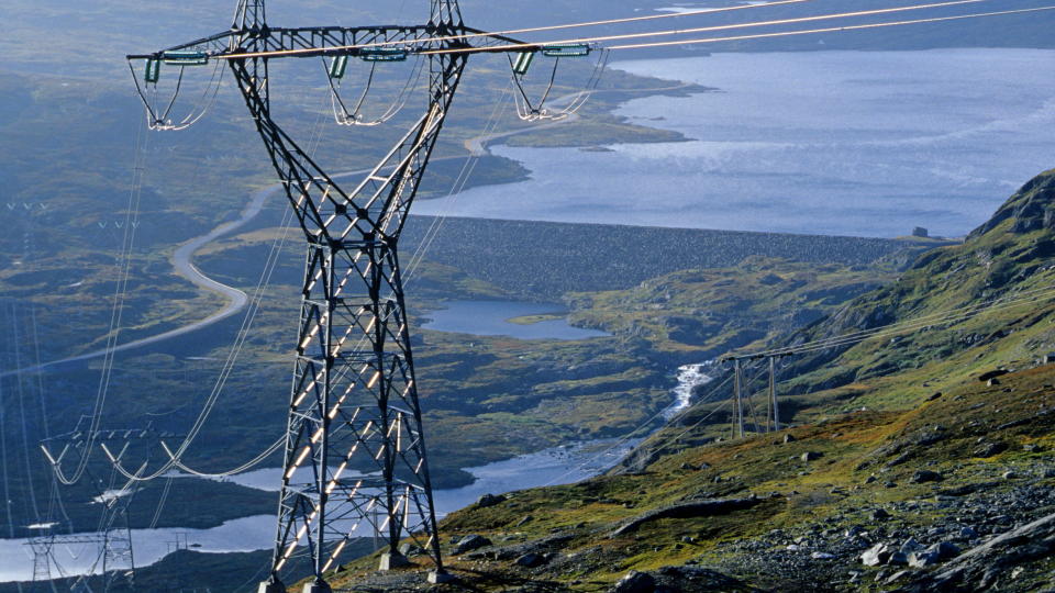 STR�MPRISENE: Vil v�re lave i vinter. Foto: Oddmund Lunde